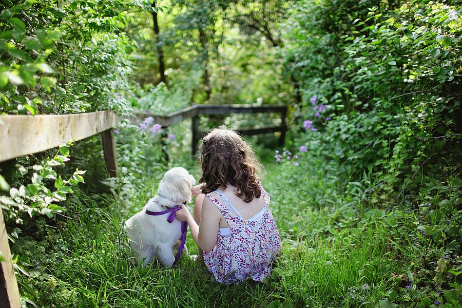 child pet loss